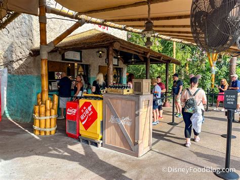 REVIEW: There's a NEW, SPICY Dole Whip in Disney World! | the disney ...
