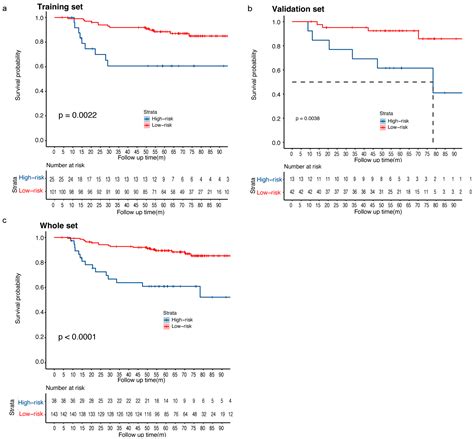 Dynamic Evolution of Vascular Features Based on Magnetic Resonance ...