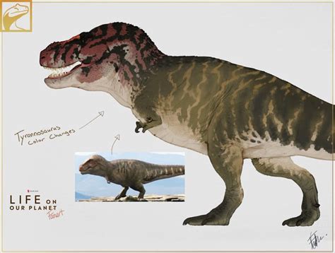 Image result for Linux C Program Stack