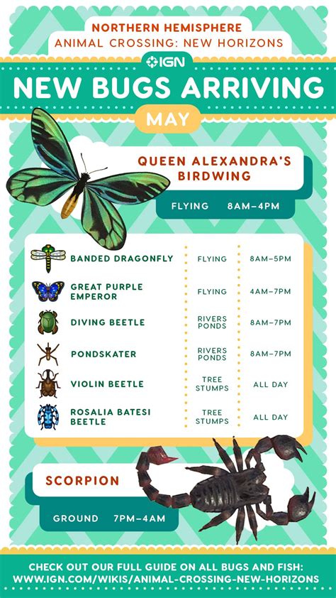 All New May Bugs, Fish, and Sea Creatures - Animal Crossing: New ...