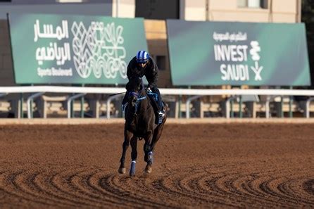 Shisospicy on Standby, Bentornato on Track for Dubai - BloodHorse