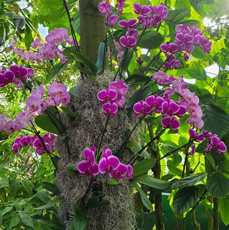 Goldfinch Funeral Home - From the moment you walk through our doors ...