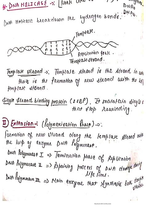 DNA Transformation Class 12 的图像结果