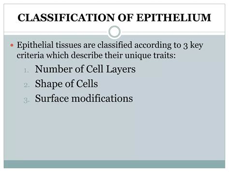 Basic Tissues 的图像结果