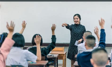 Active Learning Explained 的图像结果