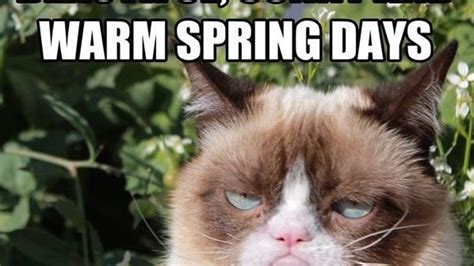 Funny Quotes On Spring at Elden Martin blog