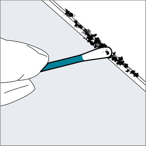 How to Sample for Mold - ImmunoLytics Mold Testing Kit