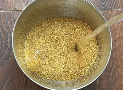Navane khichdi recipe | How to make foxtail millet khichdi | Siridhanya ...