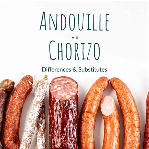 Chorizo vs Andouille Sausage: Differences & Substitutes