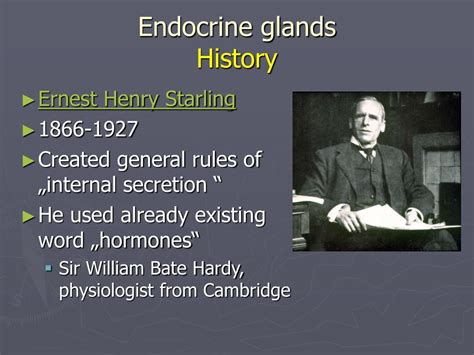 Image result for Thyroid Disease Classification Using Meachine Learning Algorithms