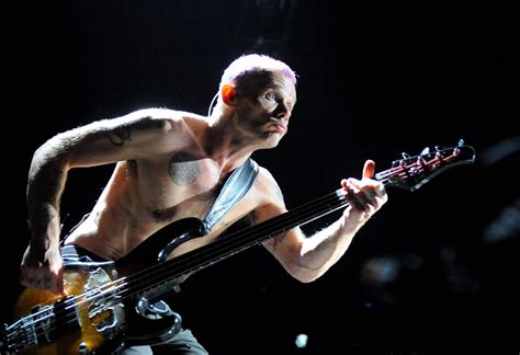 Flea, do Red Hot Chili Peppers, anuncia data de lançamento de álbum ...