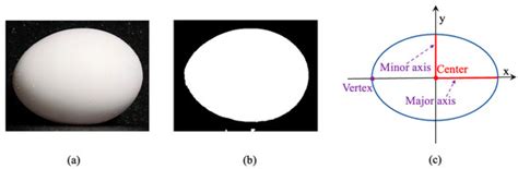 Animals | Special Issue : Automated Monitoring of Livestock and Poultry ...