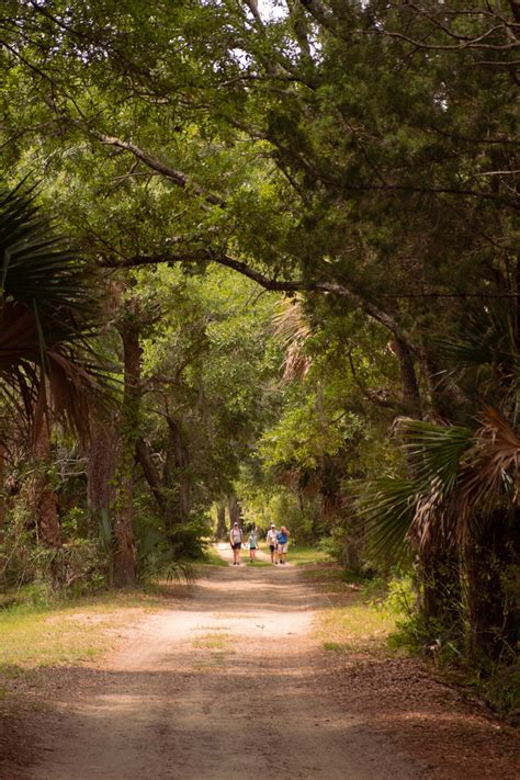 Bulls Island Ferry- Explore a National Wildlife Refuge! | Coastal ...