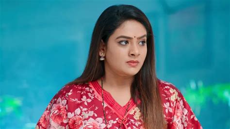 Watch Hitler Gari Pellam TV Serial 27th August 2021 Full Episode 323 ...