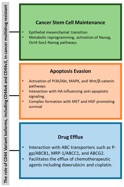 CD44 Variant Expression in Follicular Cell-Derived Thyroid Cancers ...