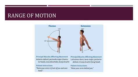 Shoulder Examination.pdf