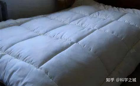 睡亡母生前床上感染同种病毒最新素材