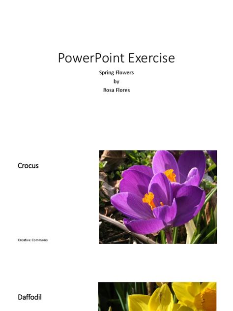 Image result for PowerPoint Exercises for Beginners PDF