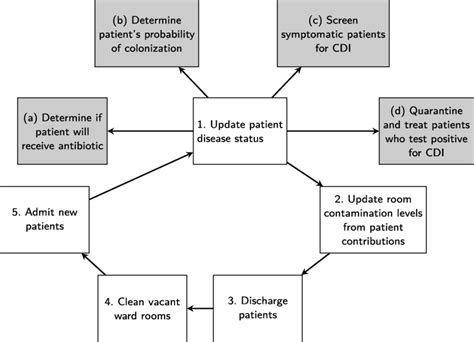 Image result for ABM Time Step Simulation