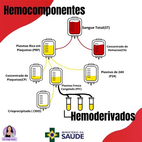 Hemocomponentes e hemoderivados! | Fernanda de Araujo Rodrigues