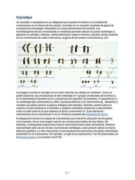 Image result for Research Code Sheet Example