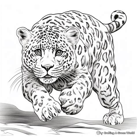 Snow Leopard Coloring Pages - Free & Printable!