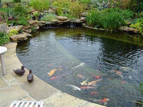 ANY POND - Any Pond Ideas for Inspiration | Pond landscaping, Ponds ...