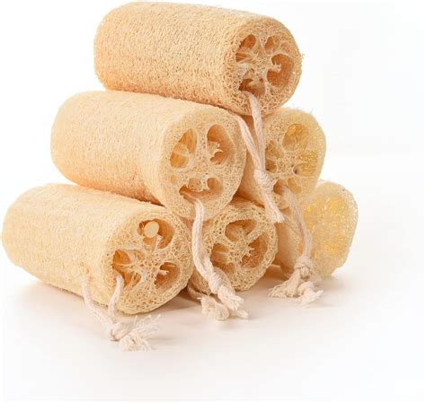 Amazon.com: Natural Loofah Exfoliating Body Sponge (6 Pack Half Size ...