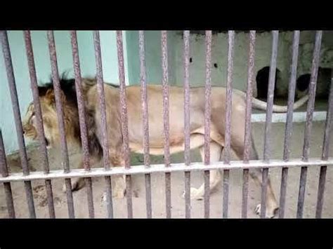 Petition · Fight against inhumane zoos - India · Change.org