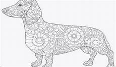 malvorlagen tiger pool ausmalbilder hunde genial ausmalbilder hund inspirierend malvorlagen tiger pool ausmalbilder hunde genial ausmalbilder hund inspirierend