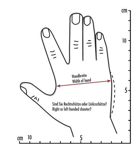 Average Hand Size