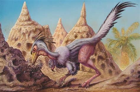 Shuvuuia deserti, a nocturnal dinosaur