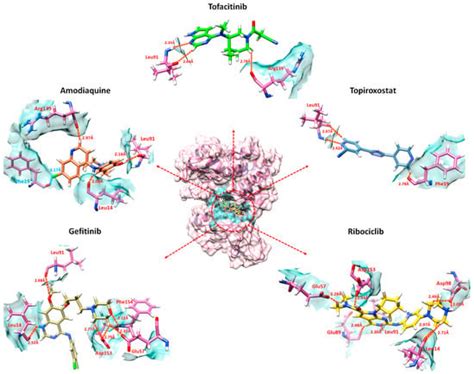 Drug Repositioning via Graph Neural Networks: Identifying Novel JAK2 ...