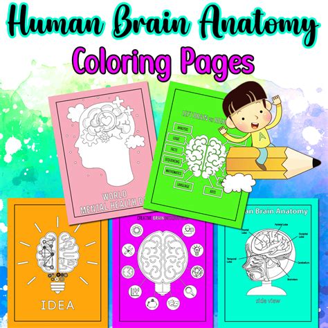 The Fun and Educational World of Anatomical Coloring Pages