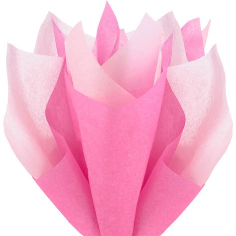 Solid Hot Pink/Medium Pink 2-Pack Tissue Paper, 6 sheets - Tissue ...