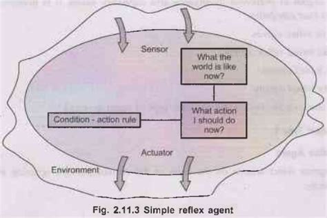 Different Types of Agents - Intelligent Agents and Problem Solving ...