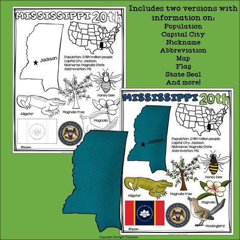 Mississippi Fact Sheet for Early Readers - A State Study | Made By Teachers
