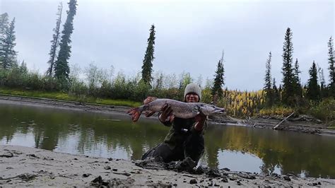 Alone | Season 11 Now Streaming | On Stan.