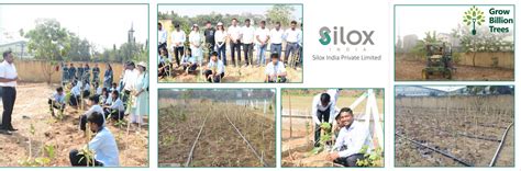 Silox India’s Commitment to Nature: Miyawaki Forest Flourishes at ...