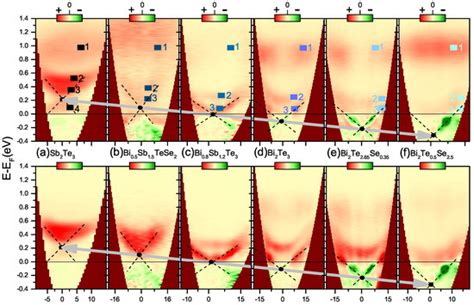 Surface State Dynamics of Topological Insulators Investigated by ...