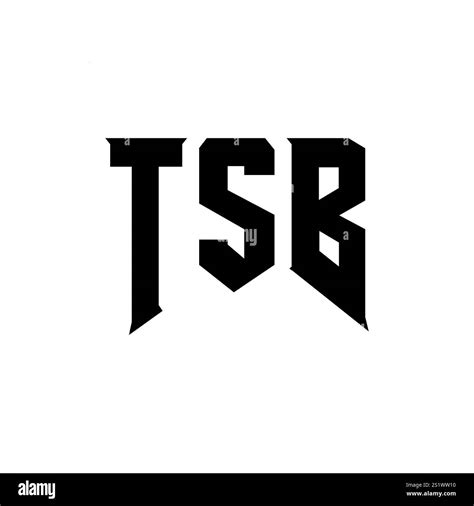 Image result for TSB Style Script
