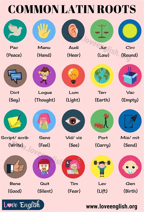 45 Common Latin Words and Phrases Used in English - ESL Teacher | Latin language learning, Latin ...