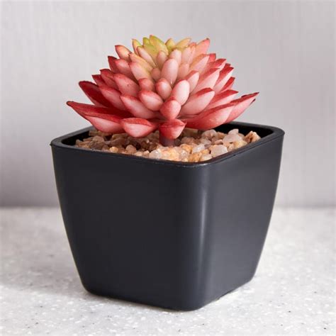 Buy Lets Garden Artificial Flaming Katty Succulent in Pot from Home ...