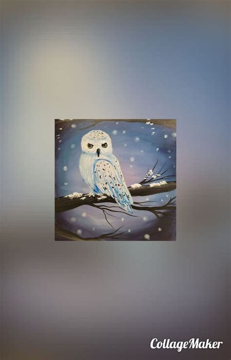 Snowy Owl , Don Perico Restaurant & Bar, Tehachapi, January 3 2024 ...