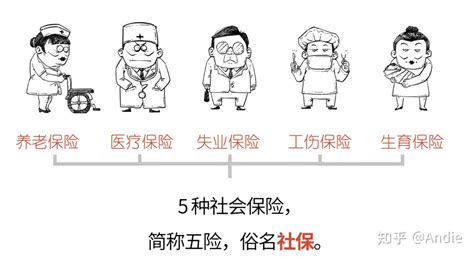 个人可以缴纳生育险吗？个人缴纳的生育险生孩子的时候能报销吗？ - 知乎