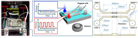 Micromachines | Special Issue : Microfluidics for Cells and Other Organisms