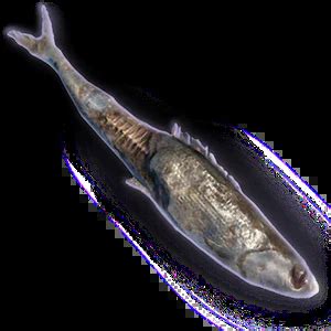 Rotten Fish - bg3.wiki