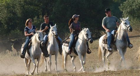 Fun Family Reunions in Texas | 500-Acre Working Dude Ranch