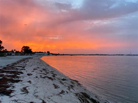 GULFPORT MUNICIPAL BEACH (2026) All You Need to Know BEFORE You Go ...