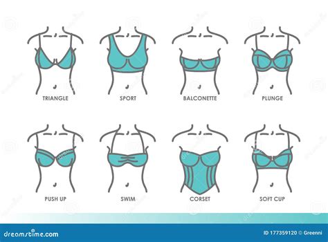 Types of Bras. Kinds of Bras Stock Illustration - Illustration of ...